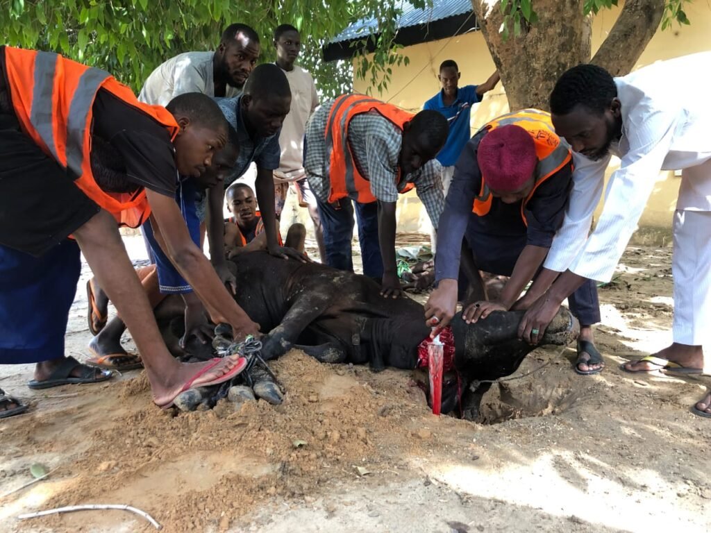 WhatsApp Image 2024-07-08 at 14.05.54_a0794f1a